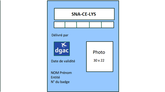 Photo d'un badge bleu Lyon